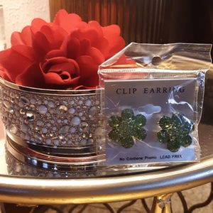 NWOT Earrings